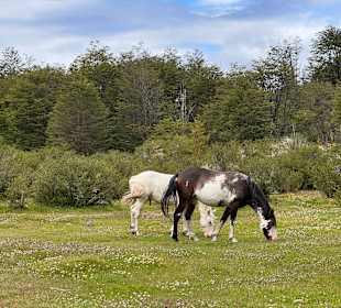 Tierra del Fuego