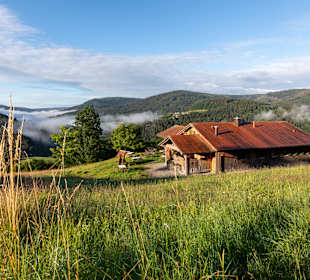 Rundwanderweg Baiersbronn