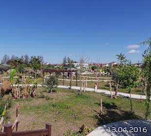 Discovery Park Manavgat