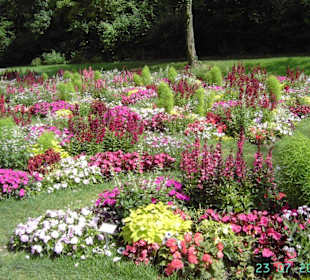 Blumenmeer in allen Farbfacetten