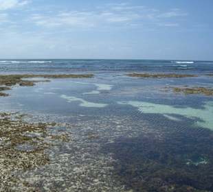 Ausflug Glasbodenboot Diani Beach