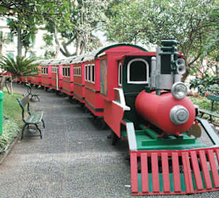Weihnachtszug in Funchal