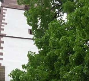 Evangelische Martinskirche Dornstetten