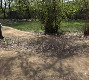 Unterer Schlossgarten Stuttgart