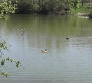 Sport- und Freizeitpark Markwasen