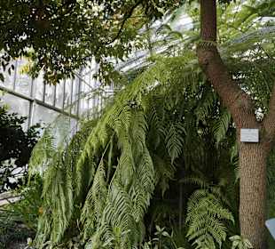 Anlage Planten un Blomen