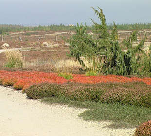 Findlingspark Nochten