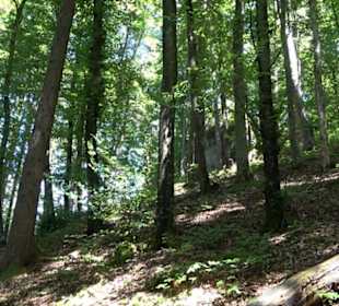 Burg Hohenerpfingen Erpfingen