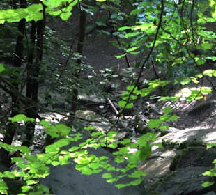 Wanderung Heslacher Wasserfälle und Heidenbrünnele