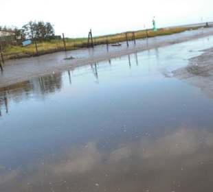 Der Hafen von Fedderwardersiel