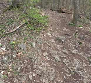 Wanderung rund um das Rusenschloss Gerhausen