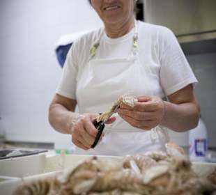 Ristorante Soleiado Rimini ristorante restaurant