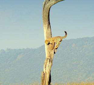 Wie komme ich da wieder runter?