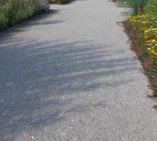 Schmuckhof Botanischer Garten
