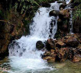 Kleiner Wasserfall am Gießenbach