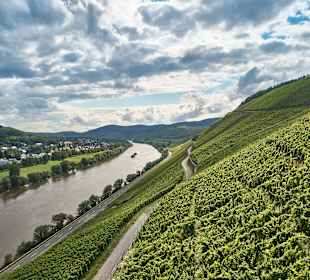 Wandern Mülheim an der Mosel