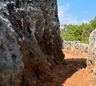Ein paar Inspirationen von unserer Strandwanderung