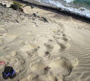 Dünenbesteigung am Strandweg