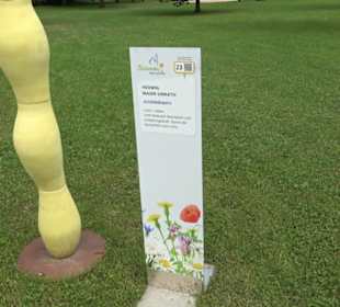 Blühendes Neresheim 2021