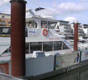 MS Sea-Life