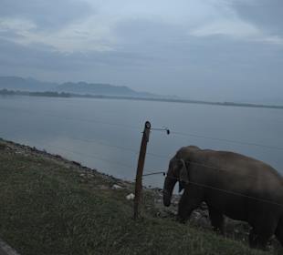 Nationalpark Udawalawe