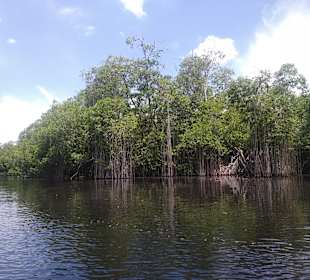 Bootstour Black River