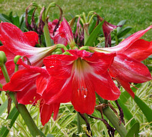 Spaziergang durch den Parque de Santa Catarina