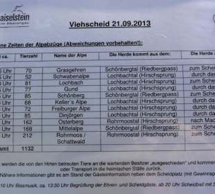 Zeitplan