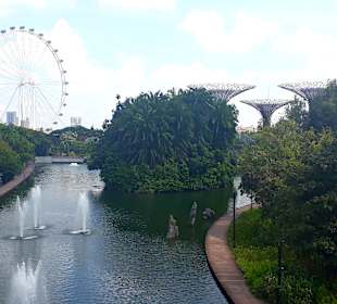 Gardens by the Bay