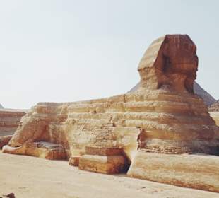 Kairo Sphynx 