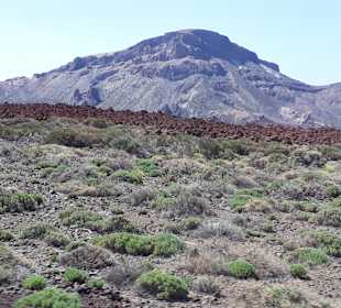 Teide Nationalpark