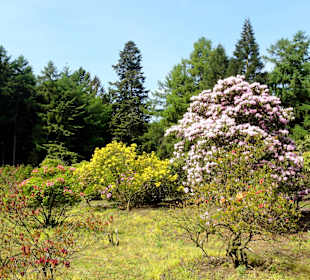 Impressionen vom Rundweg durch den Park