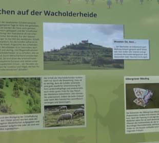 Früchtetrauf - Wurmlinger Kapellenwegle