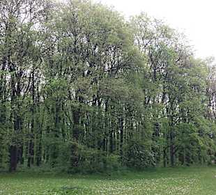 Park