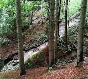 Waldweg zu den Erdpyramiden 