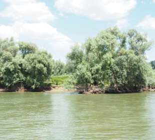 Das linke Ufer der Donau