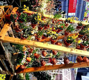Altes Bettgestell mit Blumen