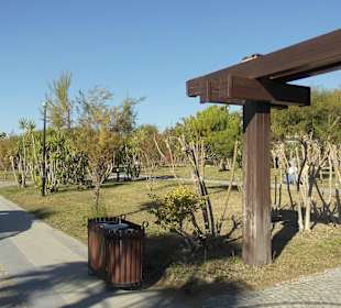 Für Dezember noch zeimlich Blattwerk