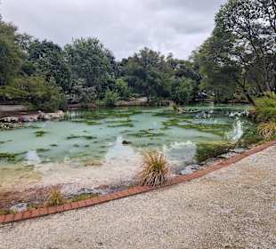 Geothermal Walking Track