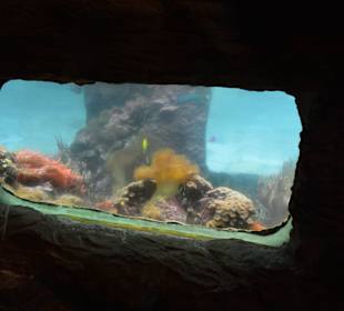 Aqua Mundo