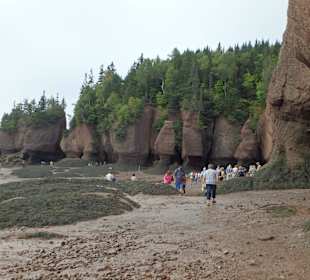 Teilansicht der Hopewell Rocks