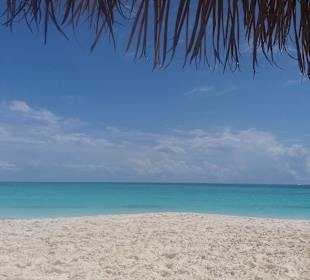 Ausflug Cayo Largo