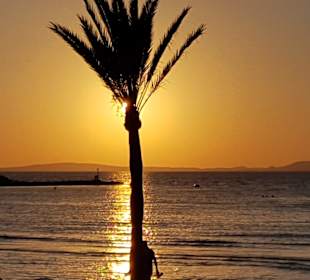 Strand Playa/Platja de Palma