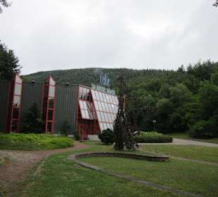 Die Quelle Liese, Celtic