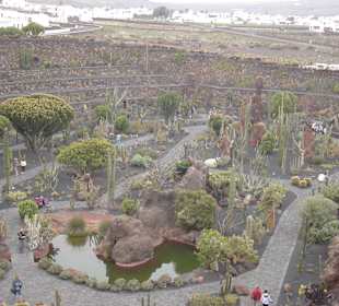 Lanzarote Kaktusgarten