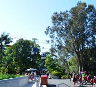 Taronga Zoo
