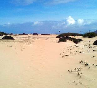 Parque Natural de las Dunas de Corralejo