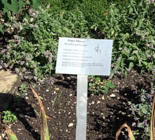 Klosterkirche Maria Gnadenzell