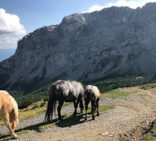 Wandern Hermagor - Pressegger See
