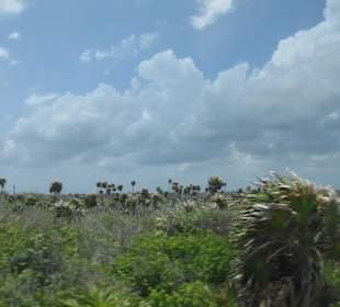 Landschaft an der Küste
